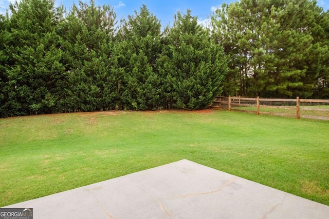 view of yard featuring a patio area