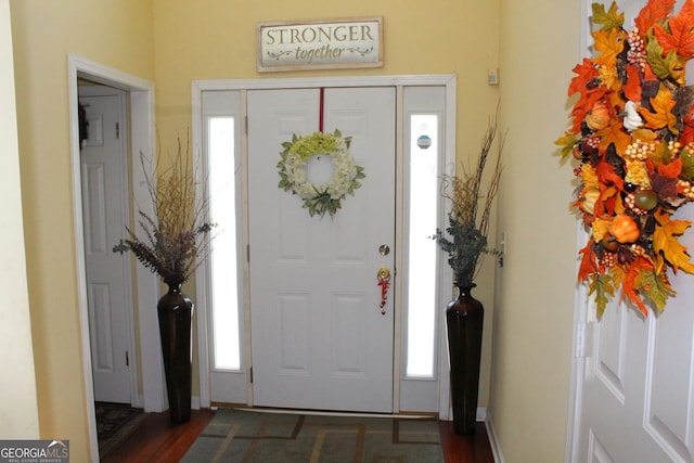 foyer entrance featuring dark wood-type flooring