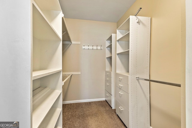 walk in closet featuring dark carpet