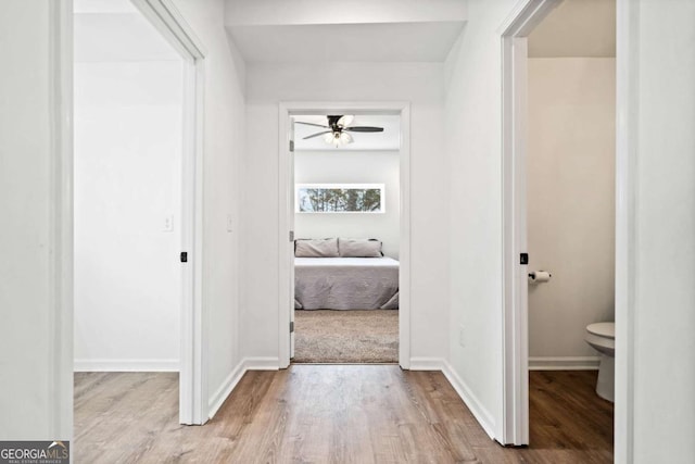 hall with light hardwood / wood-style flooring