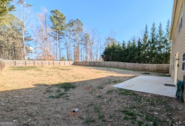 view of yard featuring a patio area