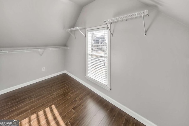 spacious closet featuring vaulted ceiling and dark wood-type flooring