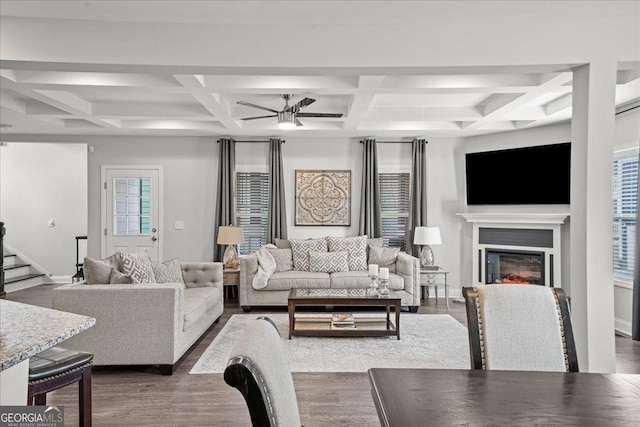 living room with ceiling fan, dark hardwood / wood-style flooring, and beam ceiling