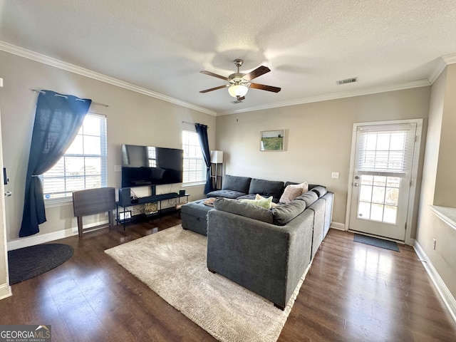 living room with crown molding, dark wood-type flooring, ceiling fan, and a textured ceiling