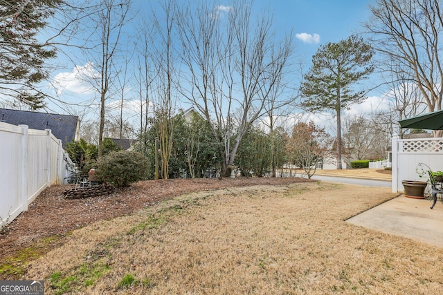 view of yard with a patio area