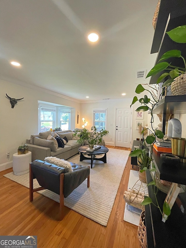 living room with crown molding and light wood-type flooring