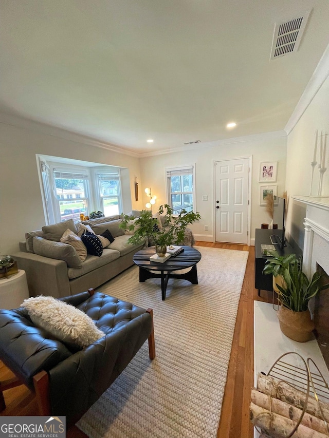 living room with crown molding, plenty of natural light, and light hardwood / wood-style floors