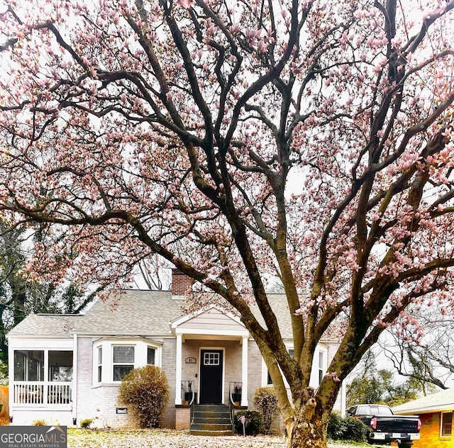 single story home with a sunroom