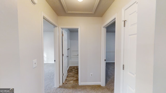 hallway featuring light carpet