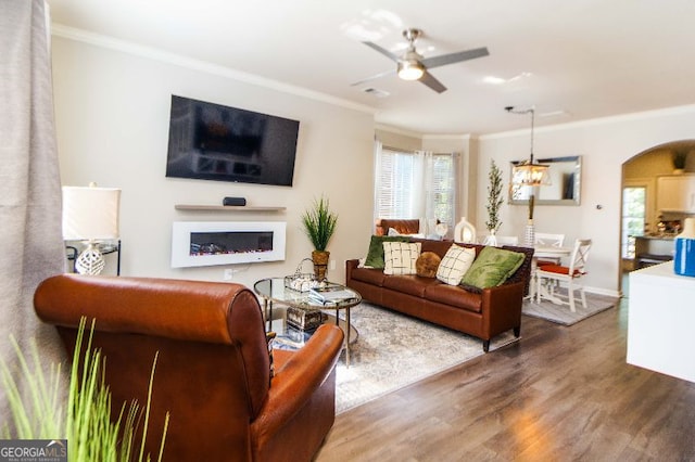 living room featuring hardwood / wood-style flooring, ceiling fan, and ornamental molding