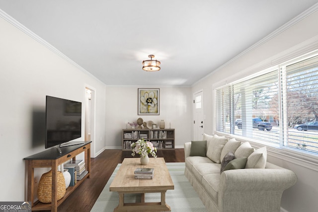 living room featuring dark wood-type flooring and crown molding