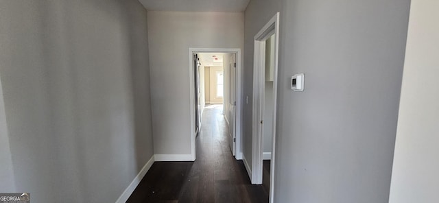 corridor with dark hardwood / wood-style flooring