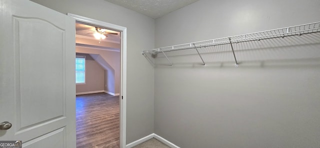 walk in closet featuring hardwood / wood-style floors