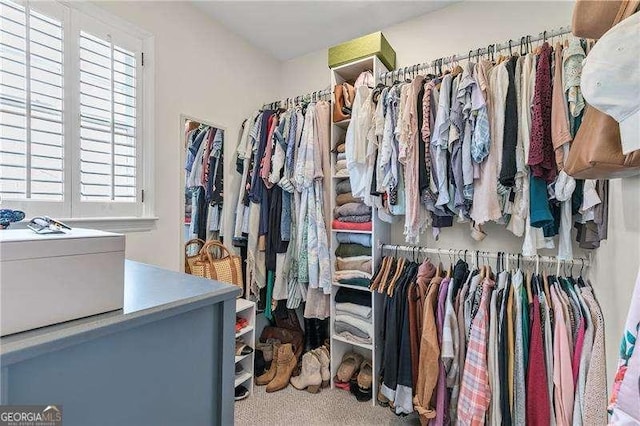 spacious closet featuring carpet