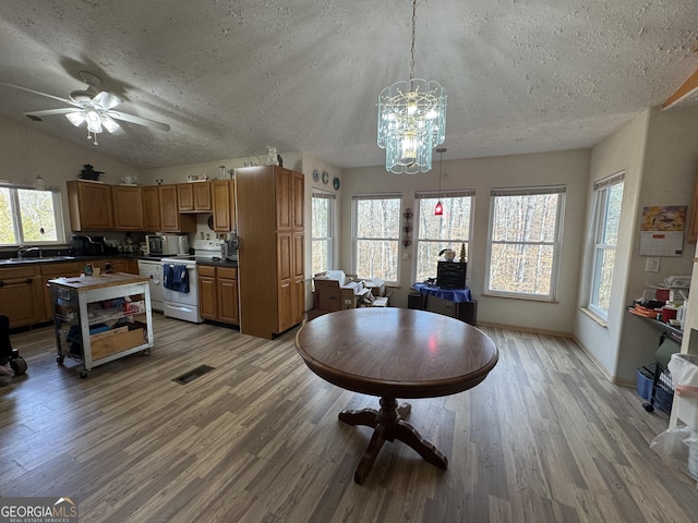 dining room featuring vaulted ceiling, a healthy amount of sunlight, a textured ceiling, and light hardwood / wood-style floors