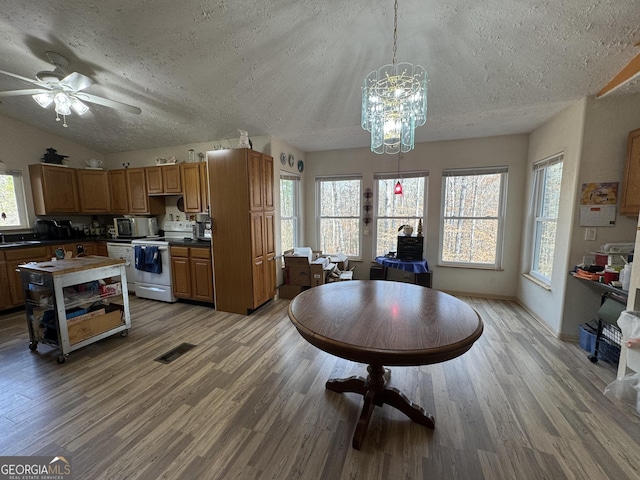 dining room with lofted ceiling, light hardwood / wood-style floors, and a textured ceiling