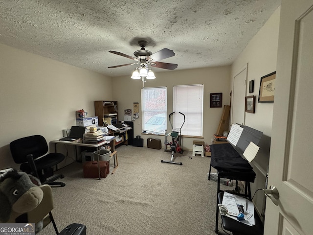 office space with ceiling fan, carpet, and a textured ceiling