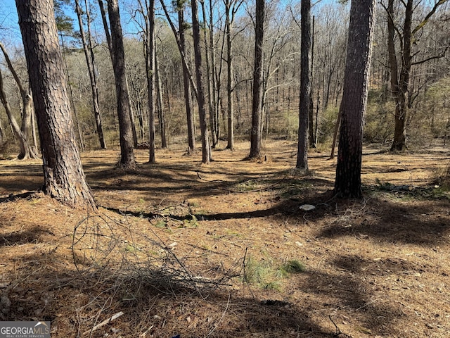 view of local wilderness