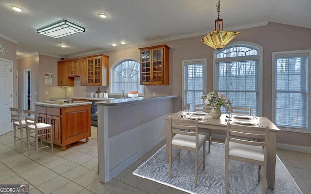 kitchen featuring glass insert cabinets, brown cabinets, and a wealth of natural light