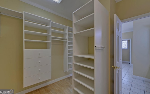 view of spacious closet