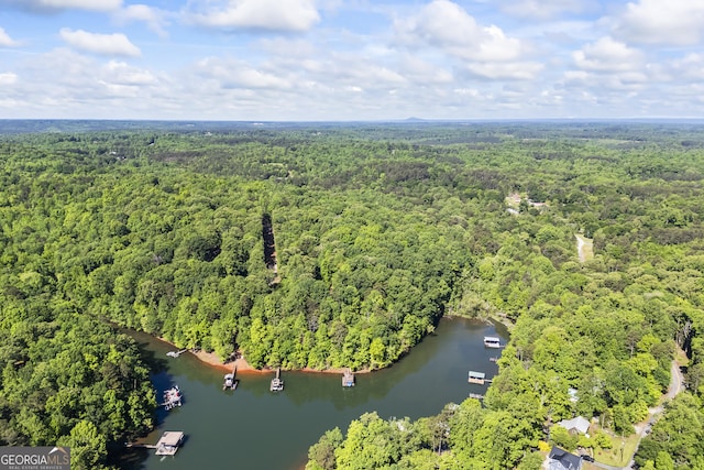 bird's eye view with a water view and a wooded view