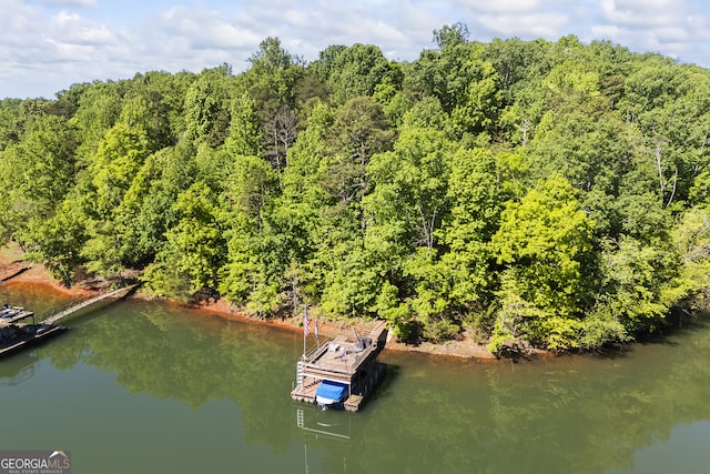 bird's eye view featuring a water view and a forest view