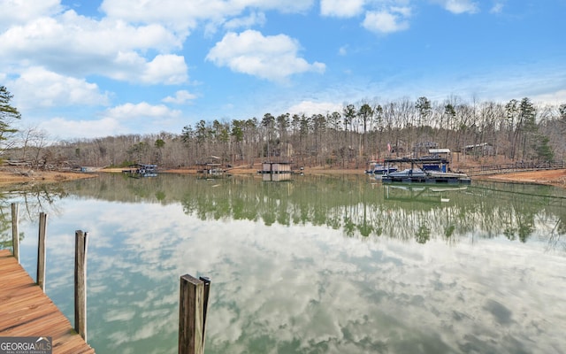 dock area with a water view