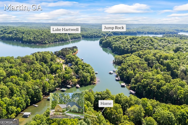 bird's eye view with a water view and a view of trees