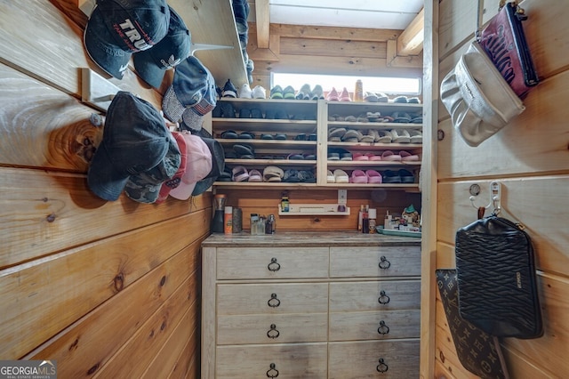 view of walk in closet