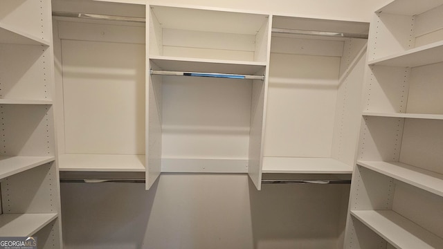 view of spacious closet