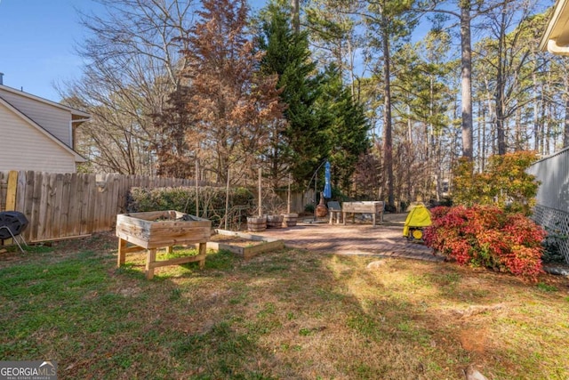 view of yard with a patio area