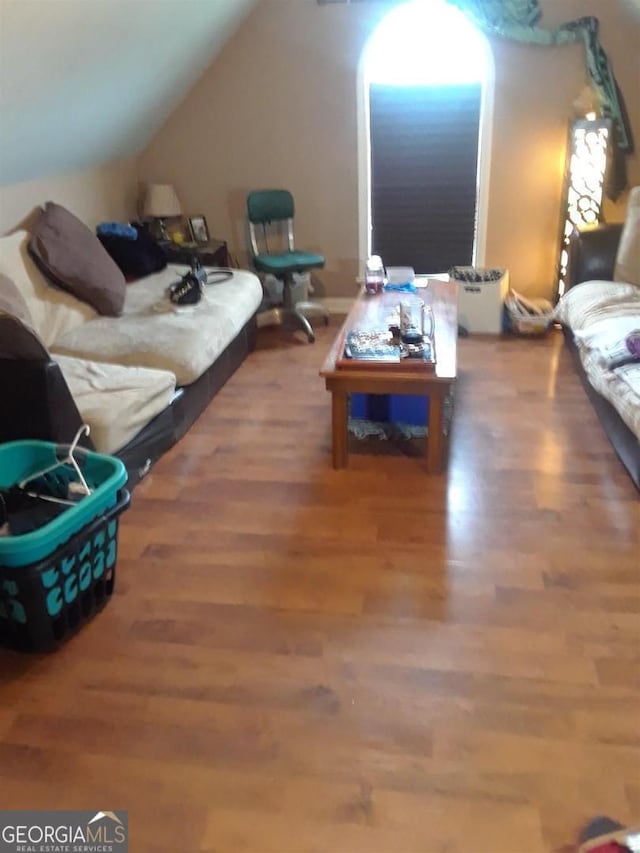 living room featuring lofted ceiling and wood-type flooring