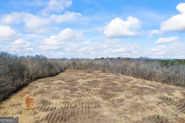 birds eye view of property featuring a rural view