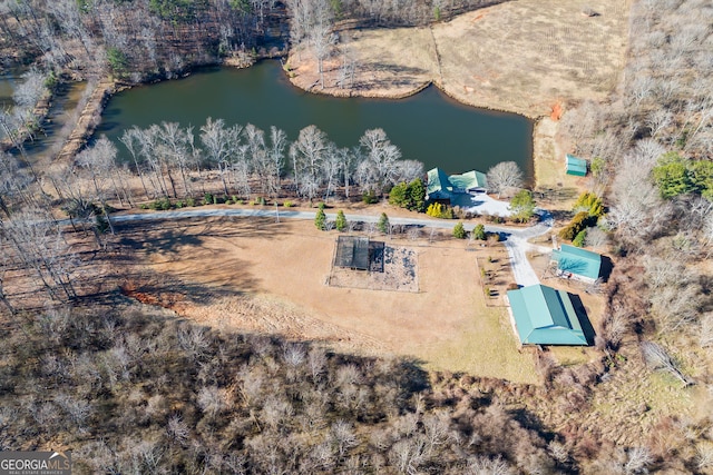 birds eye view of property featuring a water view