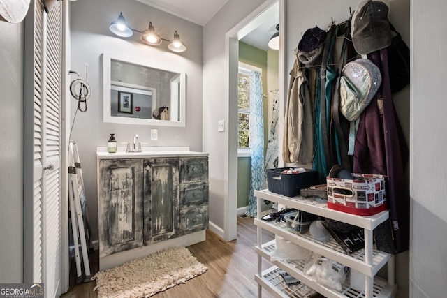 bathroom with hardwood / wood-style flooring and vanity