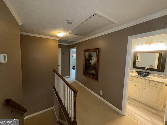 hallway featuring sink, crown molding, and light colored carpet