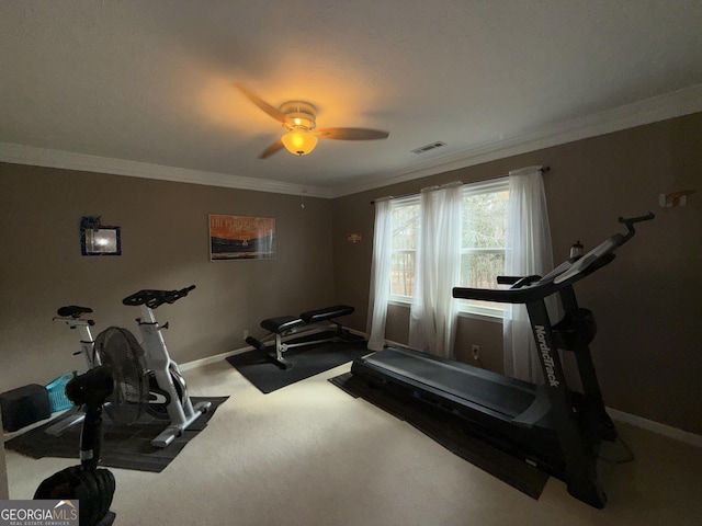 workout area featuring ceiling fan, ornamental molding, and carpet