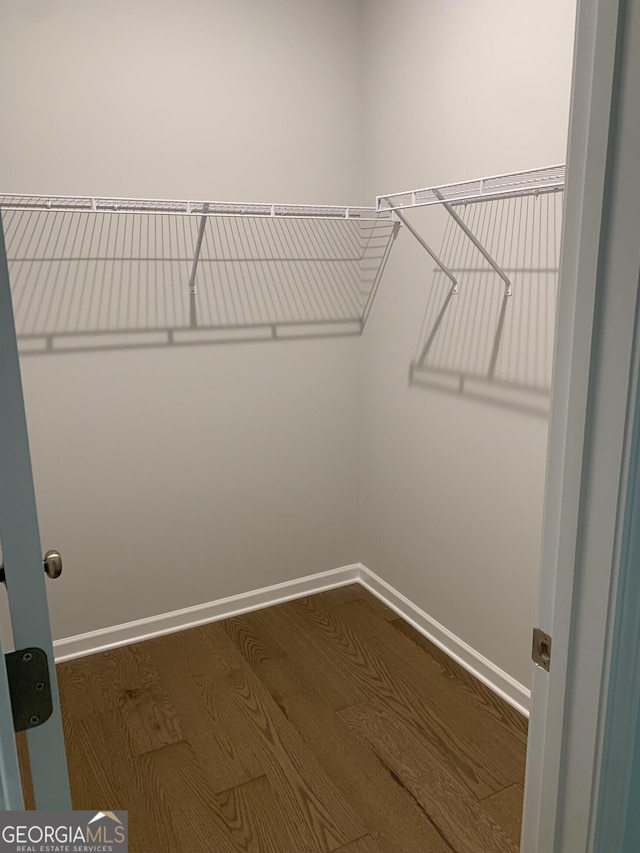 7406 Grand Reunion Dr, Hoschton, GA 30548 - spacious closet featuring dark wood-style floors