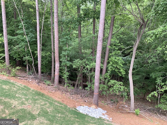 7406 Grand Reunion Dr, Hoschton, GA 30548 - view of wooded area
