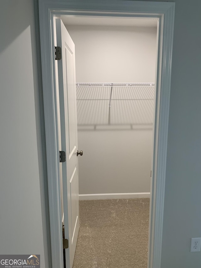 7406 Grand Reunion Dr, Hoschton, GA 30548 - walk in closet featuring carpet floors