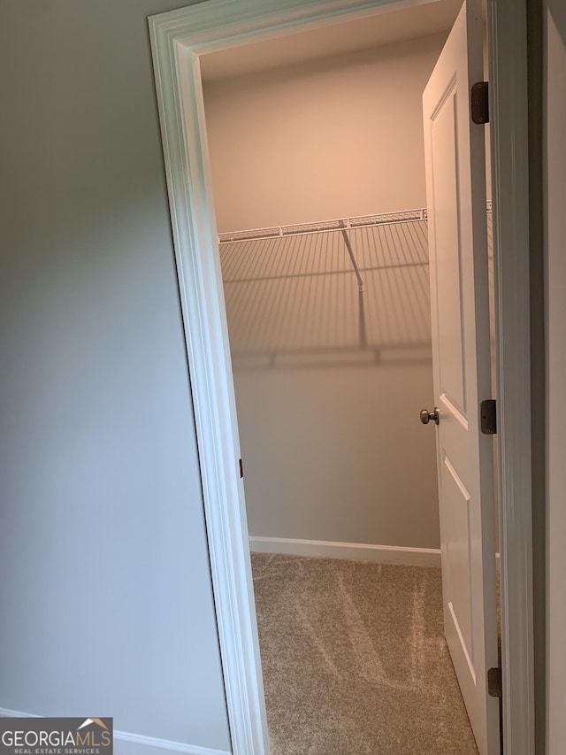 7406 Grand Reunion Dr, Hoschton, GA 30548 - spacious closet with carpet
