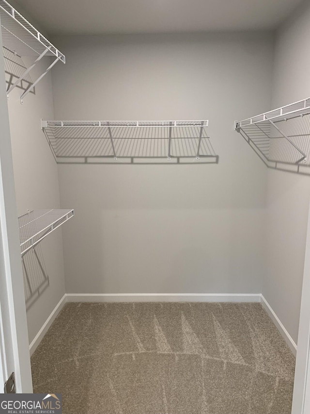 7406 Grand Reunion Dr, Hoschton, GA 30548 - spacious closet with carpet flooring