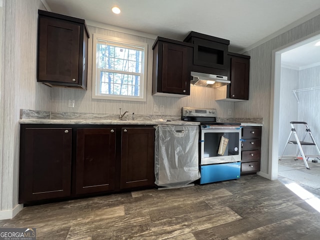 kitchen with dark hardwood / wood-style floors, sink, stainless steel appliances, crown molding, and dark brown cabinets