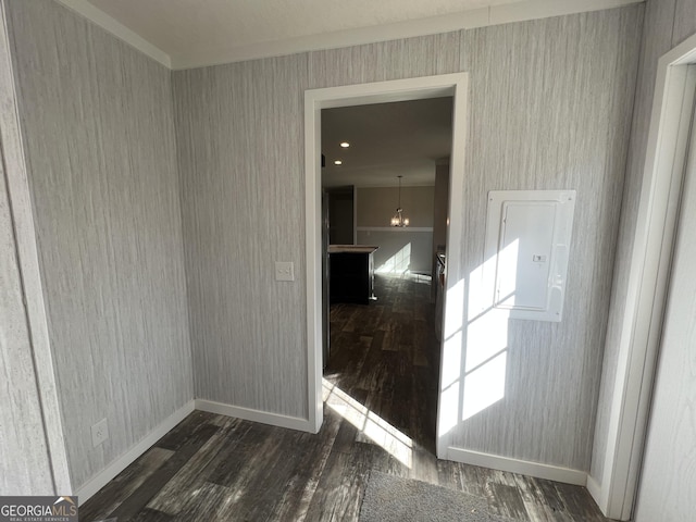 spare room featuring dark wood-type flooring