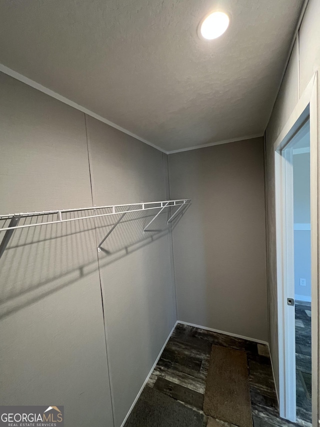 walk in closet featuring dark wood-type flooring