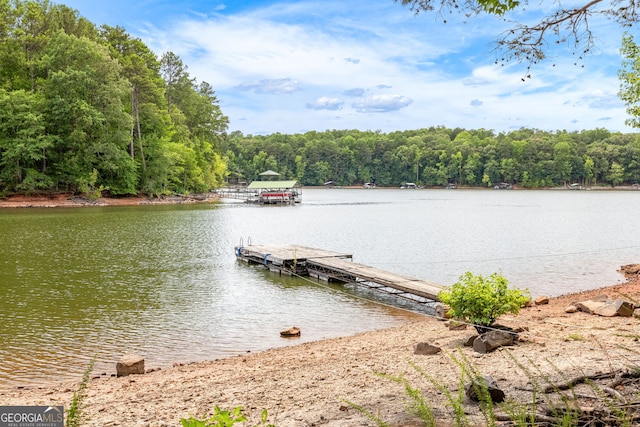 property view of water with a boat dock