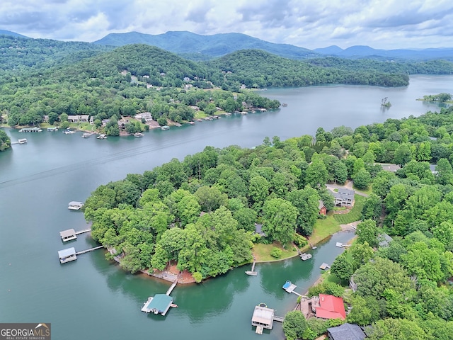 520 Long View Dr, Hiawassee, GA 30546 - bird's eye view of a water and mountain view and a forest