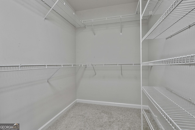 spacious closet with carpet flooring