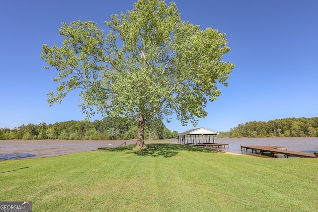 view of yard with a boat dock and a water view