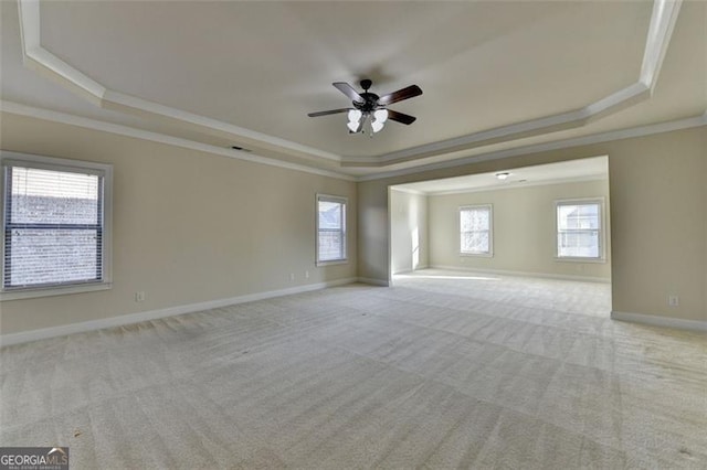 carpeted spare room with a wealth of natural light and a tray ceiling